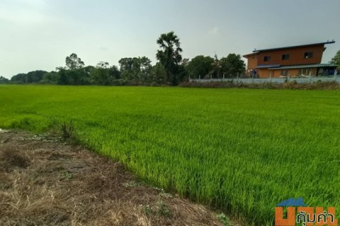 ขายที่ดินใกล้วัดปากกราน อยุธยา เนื้อที่ 5 ไร่ 3 งาน 84 ตร.ว. เหมาะทำการเกษตร หรือสร้างบ้านพัก
