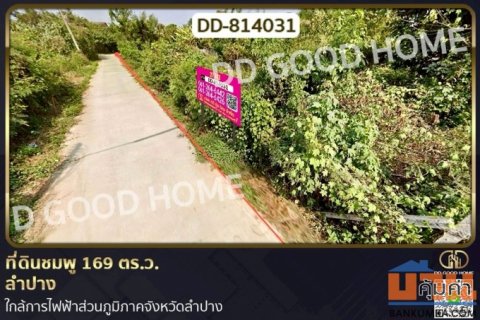 DD-814031 ที่ดินชมพู 169 ตร.ว. ลำปาง ใกล้การไฟฟ้าส่วนภูมิภาคจังหวัดลำปาง