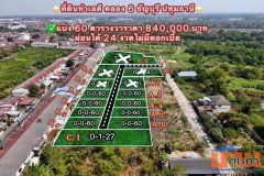 ขายที่ดิน คลอง 6 ธัญบุรี ปทุมธานี เนื้อที่ 60 ตร.ว. มีหลายแปลง