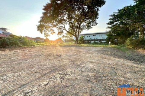 ขายที่ดินผังเหลือง 1-0-0.4 ไร่ ใกล้โรงเรียนวารีเชียงใหม่