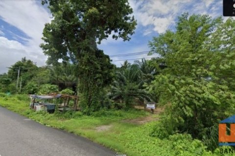 ขายที่ดิน 27 ไร่ 1 งาน 23.6 ตร.วา ทำเลดี ติดถนนเพชรเกษม ต.ทุ่งคา อ.เมือง จ.ชุมพร