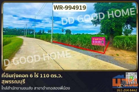 WR-994919 ที่ดินทุ่งคอก 6 ไร่ 110 ตร.ว. สุพรรณบุรี ใกล้สำนักงานขนส่ง สาขาอำเภอสองพี่น้อง