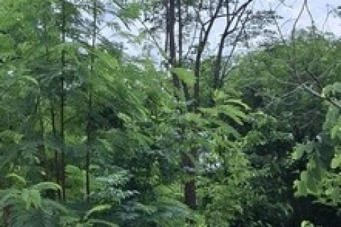 ขายที่ถมแล้ว 190 ตรว. ขายถูก ใกล้รถไฟฟ้า MRT ซอยเรวดี 13  อ.เมือง  จ.นนทบุรี