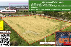 ให้เช่า 4-6 ไร่, ไร่ละ 12,000 บาท สามารถทำ Warehouse และอื่นๆ สัญญาเช่า 3 ปี