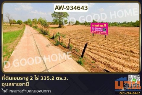 AW-934643 ที่ดินเขมราฐ 2 ไร่ 335.2 ตร.ว. อุบลราชธานี ใกล้ เทศบาลตำบลหนองนกทา