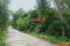 ขายที่ดินสวยมากก เกาะพังงา ใกล้แหล่งท่องเที่ยว เสนอขายที่ดินติดเกาะ ใกล้แหล่งท่องเที่ยว วิว พังงา