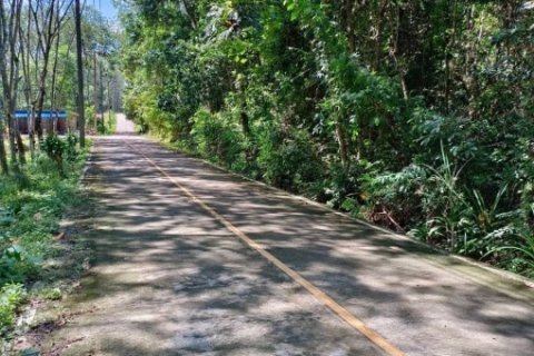 Beautiful island for sale 6 Rais with Chanote Offered land for sale an island near tourist attractions, Phang Nga