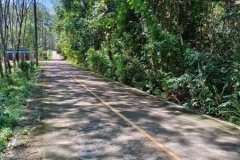 Beautiful island for sale 6 Rais with Chanote Offered land for sale an island near tourist attractions, Phang Nga
