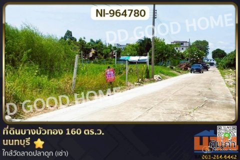 NI-964780 ที่ดินบางบัวทอง 160 ตร.ว. นนทบุรี ใกล้วัดลาดปลาดุก (เช่า)