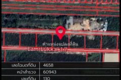 ขายที่ดินซอยลำลูกกา 17 ทั้งหมด 8 แปลง ขนาด 3 งาน 59 ตร.วา เดินทางง่าย ใกล้ถนนใหญ่ คูคต ลำลูกกา ปทุมธานี