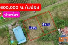 ขายที่ดินหลังสถานีรถไฟความเร็วสูงปากช่อง บ.เขาเสด็จ / ท่างอย | ใกล้ริมน้ำ & วิวเขา ( น.ส.3ก ) ราคาพิเศษ!!
