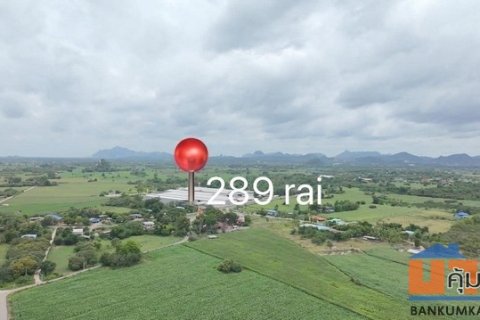 Operational pig farm for sale in Thailand   Swine farm for sale, located in Thailand