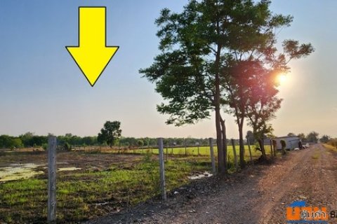 ขายที่ดิน คลอง 12 หนองเสือ 361 ตรว ถมแล้ว ทำเล เหมาะ ปลูกบ้าน ทำการเกษตร ยามเกษียณ หรือซื้อเก็บไว้ในอนาคตได้