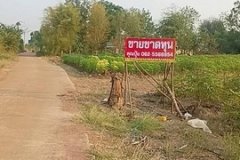 ขายที่ดินกาญจนบุรี ขายที่ด่านมะขามเตี้ย ที่ดินวิวภูเขา