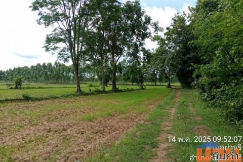 ขายที่นามี 4 แปลงติดกัน เนื้อที่รวม 118 ไร่