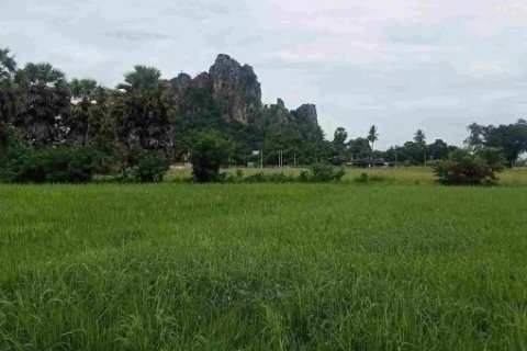ขายที่ดินเปล่า ชุมชนตลาด เขาย้อย เพชรบุรี (เหมาะกับลงทุน+เกษตร)