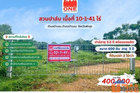ที่ดินสวนปาล์ม 10-1-41 ไร่ ปาล์มน้ำมัน 3.5 ปี + หมาก 600 ต้น + พร้อมที่ดินเปล่า 2 ไร่