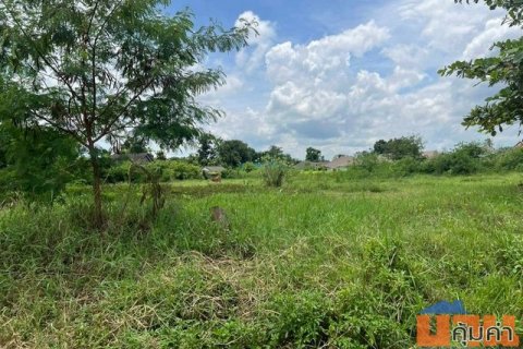 ลดราคาขายด่วน ที่ดิน ทำเลทอง หลังกาดฝรั่ง บ้านแหวน หางดง