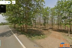 ด่วน! โอกาสทองสำหรับนักลงทุน ที่ดิน 29 ไร่ พร้อมสวนสักอายุ 12 ปี ใกล้เมืองลำพูน โทร 081-530-7997