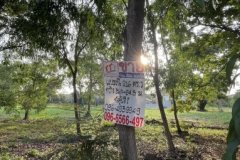 ขายที่ดินเปล่าเขตคลองสามวา โครงการ Forest Park