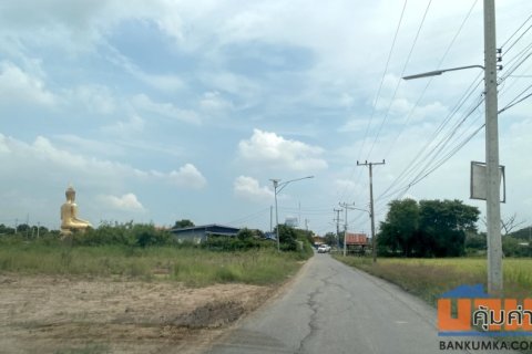 ขายไร่ละ 9 แสน ที่ดิน 2 ไร่ ใกล้วัดดอนกลาง ภาชี อยุธยา 098 7755 808