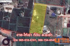 ขายที่ดินเปล่า 3 ไร่ ชะอำ เพชรบุรี ที่สวย ใกล้หัวหิน