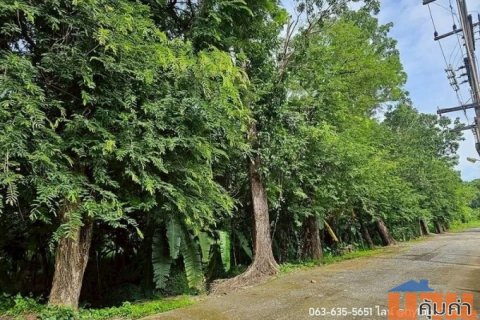 ขายต่ำกว่าราคาประเมิน ที่สวนป่าสวย ต.พรหมณี อ.เมืองนครนายก การเดินทางสะดวก ถนนดีทั้งเส้นทาง