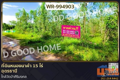 WR-994903 ที่ดินหนองนาคำ 15 ไร่ อุดรธานี ใกล้วัดป่าศิริมงคล
