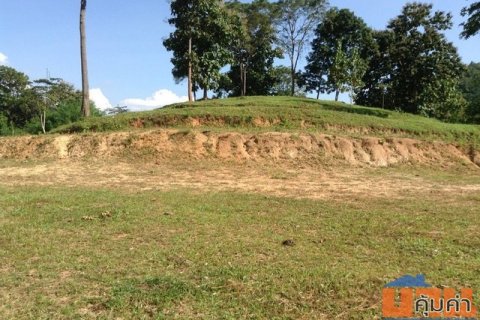 ขายที่ดินทำเลดี ติดถนน บ้านปง หางดง เชียงใหม่ ใกล้สิ่งอำนวยความสะดวก