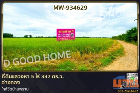 MW-934629 ที่ดินแสวงหา 5 ไร่ 337 ตร.ว. อ่างทอง ใกล้วัดบ้านพราน