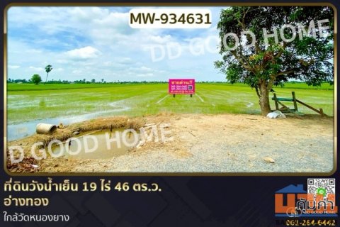 MW-934631 ที่ดินวังน้ำเย็น 19 ไร่ 46 ตร.ว. อ่างทอง ใกล้วัดหนองยาง