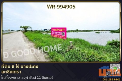 WR-994905 ที่ดิน 6 ไร่ บางปะกง ฉะเชิงเทรา ใกล้โรงพยาบาลจุฬารัตน์ 11 อินเตอร์