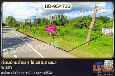 DD-954733 ที่ดินบ้านต๋อม 4 ไร่ 280.8 ตร.ว พะเยา ใกล้สถาบันวิทยาการจัดการแห่งแปซิฟิค