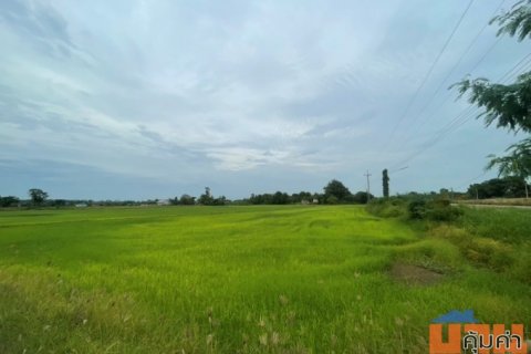 ขายที่ดินเปล่า ขนาด 24 ไร่ ทำเลทอง บรรยากาศร่มรื่น ใกล้แหล่งชุมชน ต.หัวสำโรง ฉะเชิงเทรา