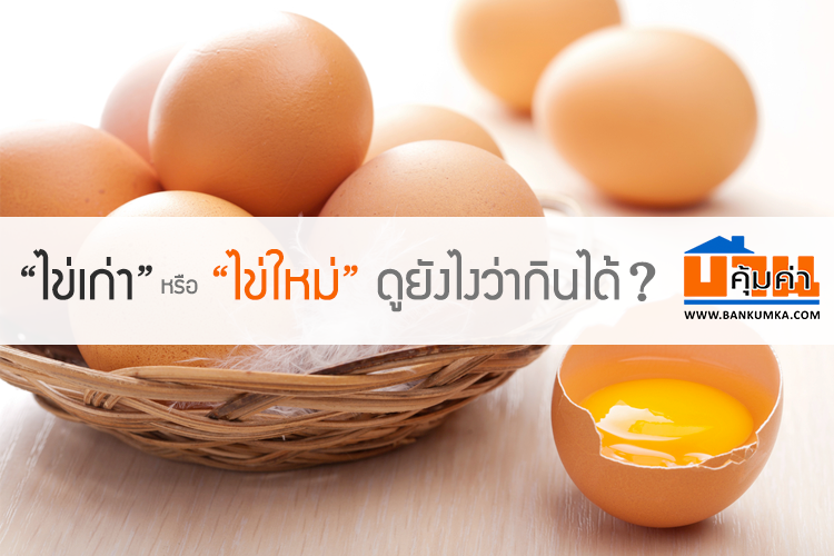 ไข่เก่า หรือ ไข่ใหม่ ดูยังไงว่ากินได้ ?
