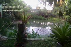 ขายบ้านในสวน 1-2-51 ไร่ บ้านดีพร้อม นครสวรรค์