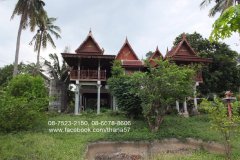 ขายบ้านเรือนไทย 2 ไร่ อ.เมืองนครสวรรค์