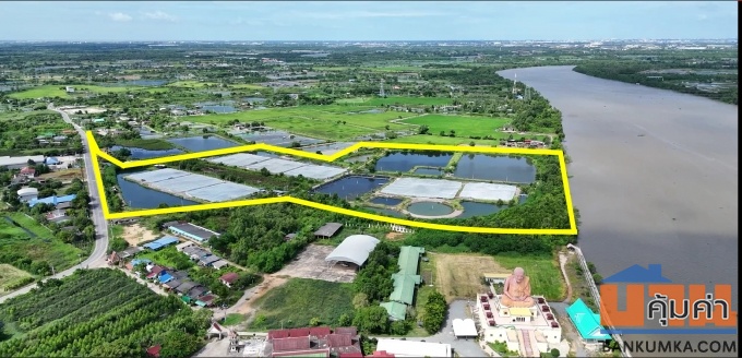 ขายที่ดินติดแม่น้ำบางปะกง 59 ไร่ ตรงข้ามท่าเรือบ้านโพธิ์ ต.บ้านโพธิ์ อ.บ้านโพธิ์ จ.ฉะเชิงเทรา
