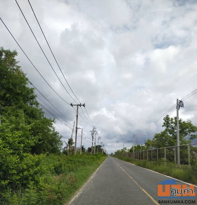 ขายที่สีม่วง 32 ไร่ ต.คลองนิยมยาตรา อ.บางบ่อ จ.สมุทรปราการ