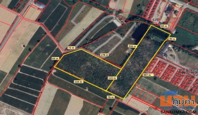 ขายที่ดินเปล่า สีม่วงลาย 32 ไร่กว่า ต.มะขามคู่ อ.นิคมพัฒนา ระยอง