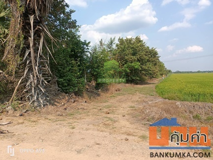 ขายที่ดิน คลอง8 บึงบอน หนองเสือ ปทุมธานี เนื้อที่ 70 ตร.ว ราคาไม่แพง
