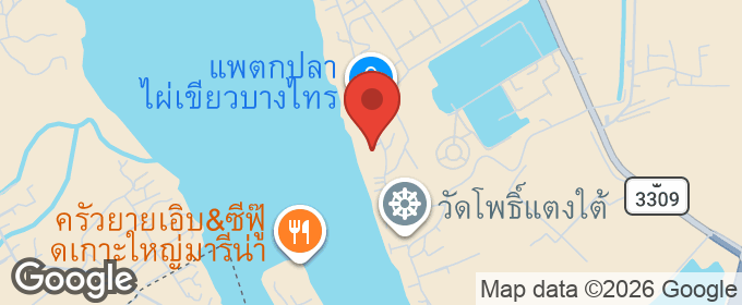 แผนที่ : ที่ดินติดแม่น้ำ  โพธิ์แตง  บางไทร พระนครศรีอยุธยา  582 ตารางวา