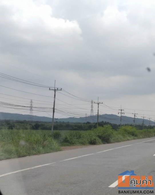 ขายที่สีม่วง 4,5,6 ไร่ ต.บางนาง ต.บ้านเก่า ต.พานทอง จ.ชลบุรี