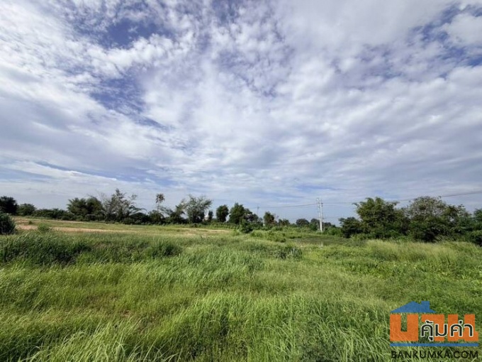 ขายที่ดิน 15 ไร่ ติดถนนใหญ่  3138 ตรงข้าม และเยื้องๆวัดราษฎ์เรืองสุข อำเภอบ้านบึง  จ.ชลบุรี
